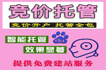 百度优化推广案例：如何利用百度广告投放